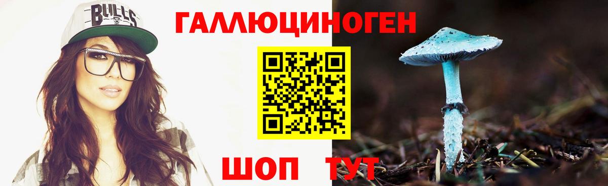 Псилоцибиновые грибы Psilocybe  Вход с VPN  Псилоцибиновые грибы прущие грибы  Тихвин 